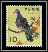 Eastern Turtle Dove