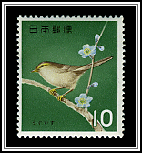 Bush Warbler