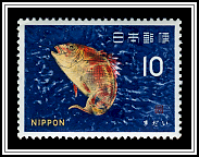 Red Seabream