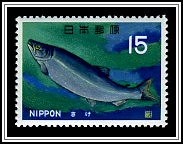 Salmon