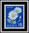 Chrysanthemums