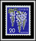 Wisteria