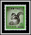 Striped Squirrel