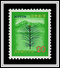 Nambu Pine Sapling