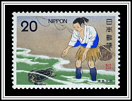 Taro Releases the Turtle