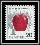 Apple & Tree