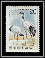 Red-crowned Crane (Grus japonensis)