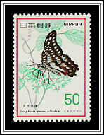 Mikado Swallowtail (Graphium doson)