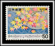 Maple Leaves