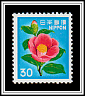 Camellia