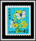 Rapeseed Flower