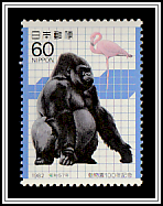 Western Gorilla (Gorilla gorilla) Greater Flamingo (Phoenicopterus ruber).