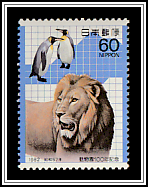 Lion (Panthera leo), King Penguins (Aptenodytes patagonicus)