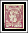 Bust