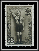 Sea Scout