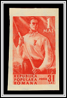 Worker with Flag