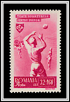 Volleyball