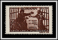 Political Amnesty