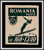 Ski Jumper