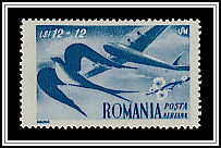 Plane & Swallow