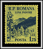 Mountain Scene