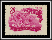 Vinyard