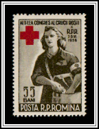 Red Cross Worker