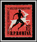Runner & Stag