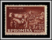 Cattle