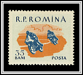Motorcycle Race