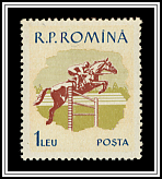 Horse Race