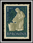 Miniș