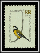 Great Tit
