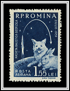 Soviet Rocket, Dog & Rabbit
