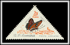Poplar Admiral