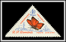 Scarce Copper