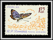 Purple Emperor
