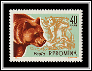 Brown Bear (Ursus arctos)