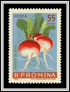 Radishes