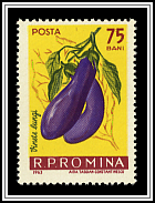 Eggplant