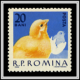 Chicks
