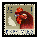 Hen