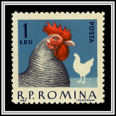 Hen