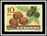 Walnuts