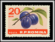 Plums