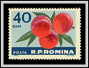 Peaches