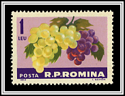 Grapes
