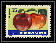 Apples