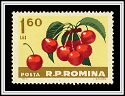 Cherries