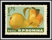 Pears